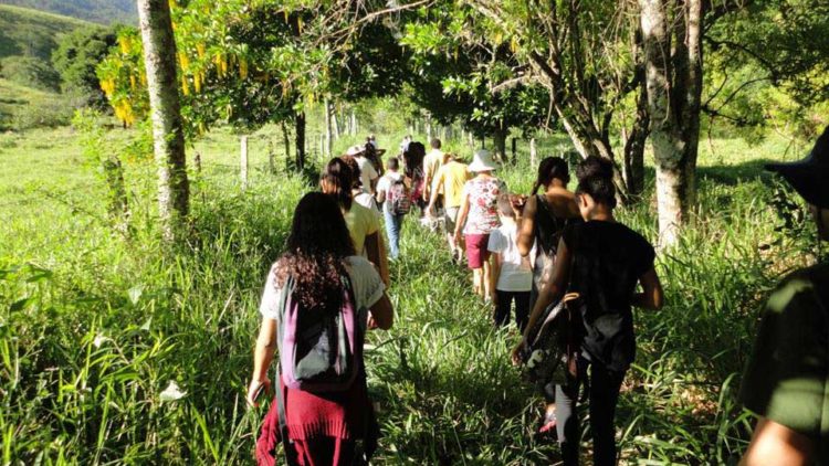 Recuperação da nascente “Mina do Tatá”