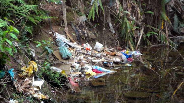Ação de Cidadania em defesa do Rio Bananal