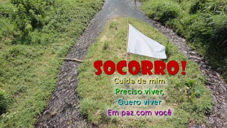 2º Parte da Ação de Cidadania em Defesa do Rio Bananal