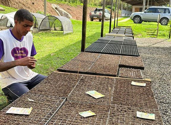 Criação do canteiro de hortaliças