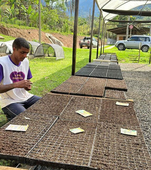 Criação do canteiro de hortaliças