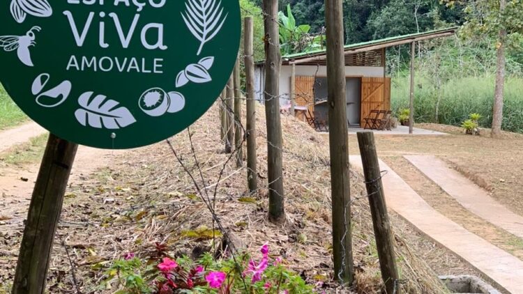 AMOVALE: Espaço Viva completou 2 anos produzindo mudas para projetos de reflorestamento em Bananal
