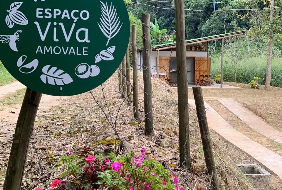 AMOVALE: Espaço Viva completou 2 anos produzindo mudas para projetos de reflorestamento em Bananal