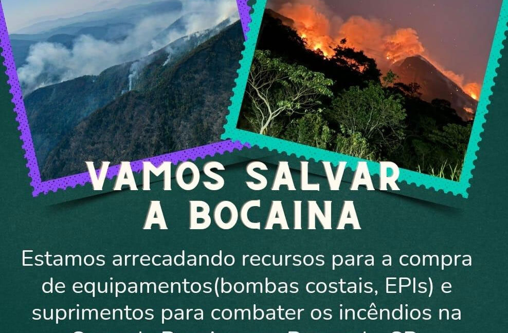 Campanha de arrecadação para combate a incêndios